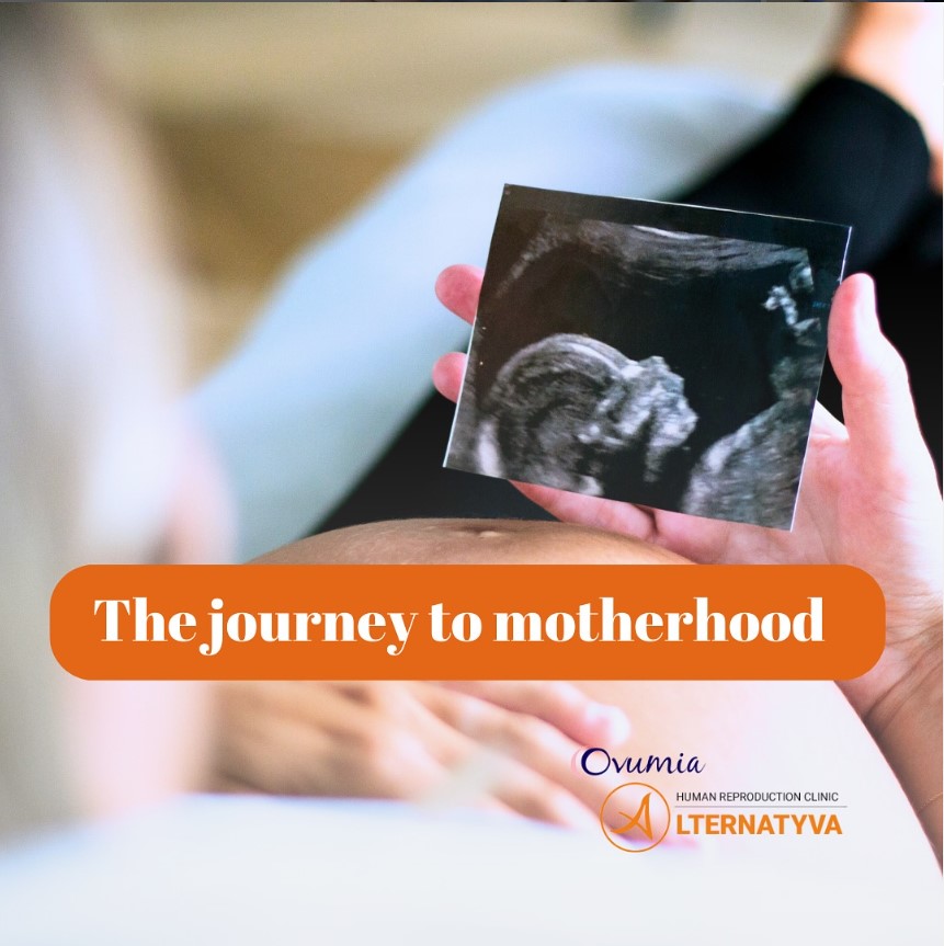 The journey to motherhood