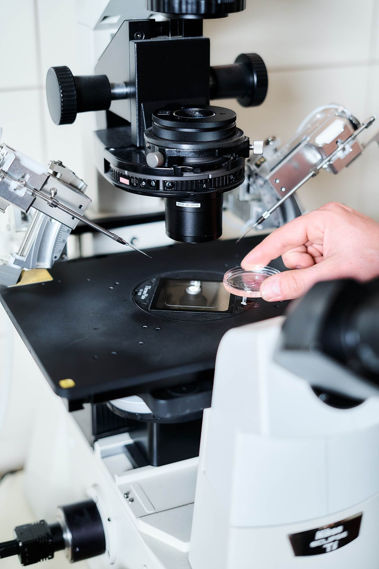 How to start IVF treatment: the first steps toward parenthood